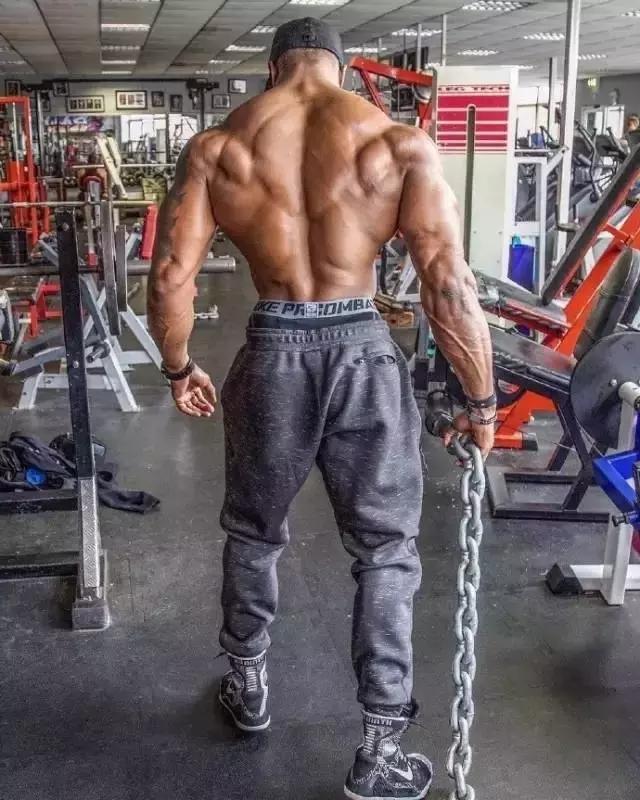 把背部肌肉全部练到的练背动作,最好的背肌训练动作