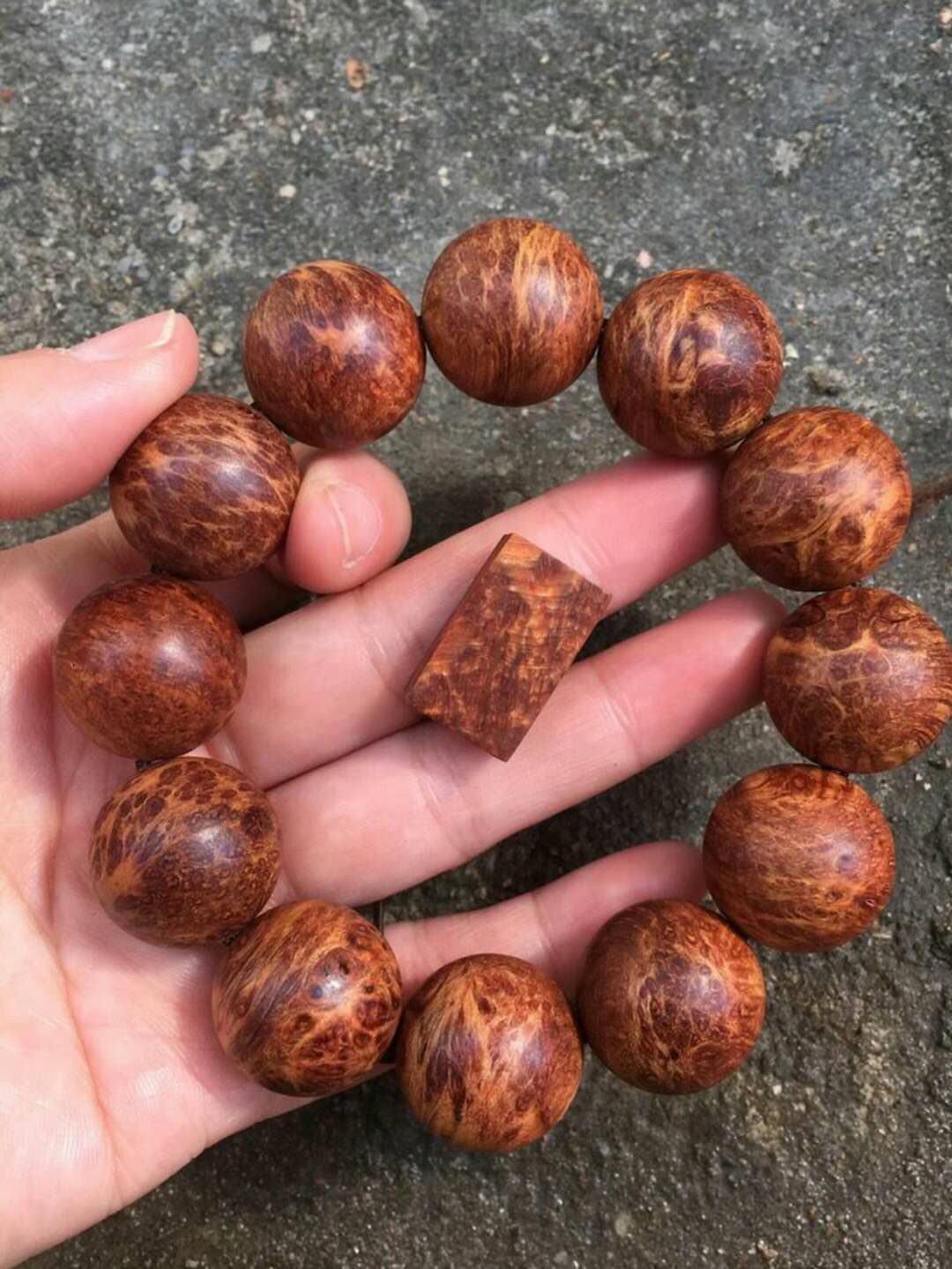 太行崖柏雷击木手串怎么盘玩,崖柏手串怎样快速盘出包浆