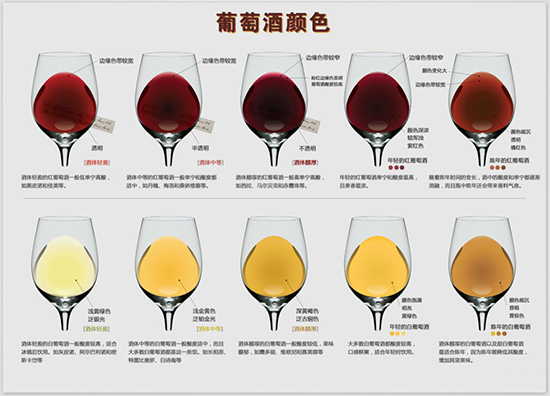 十张图教你成为葡萄酒专家,最完整详细的葡萄酒知识大全