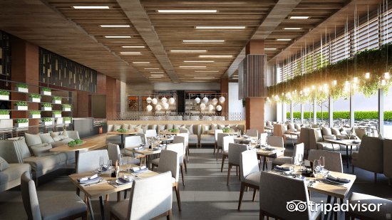 饭圈追星必备,各大明星必打卡酒店套房