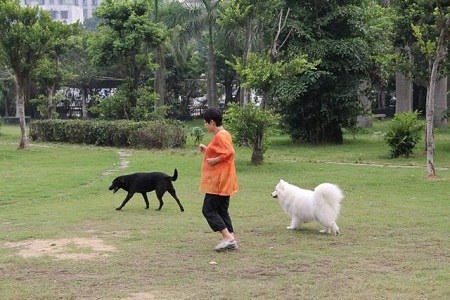 怀了孕也需要运动吗,刚怀上多久不能剧烈运动