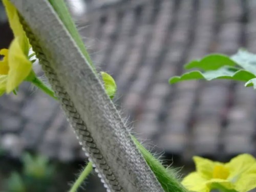 杈藉畞鍑犳湀鎾瑗跨摐,鍗楁柟瑗跨摐鍑犳湀鎾