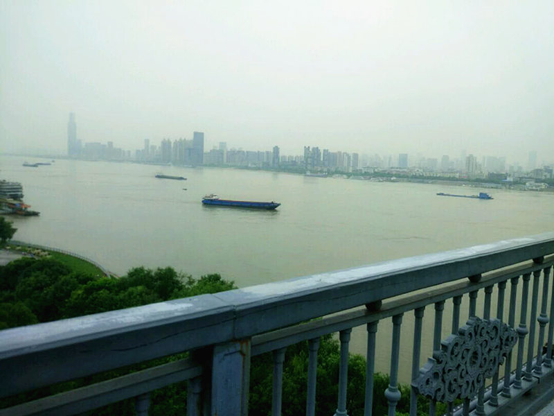 大中华酒楼户部巷武昌鱼,大中华酒楼武昌鱼是中华老字号吗