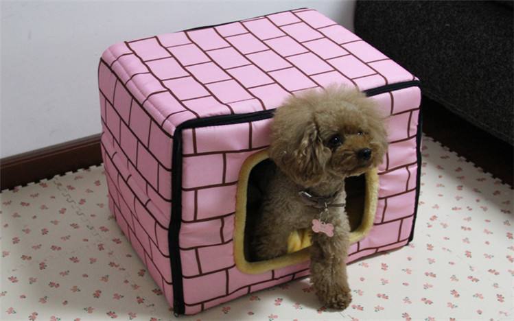 狗狗喜欢怎么样玩,狗狗喜欢什么样的环境