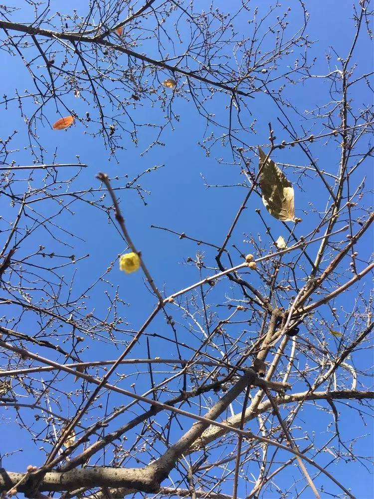 冬的深处，带你领略查济的一方天~