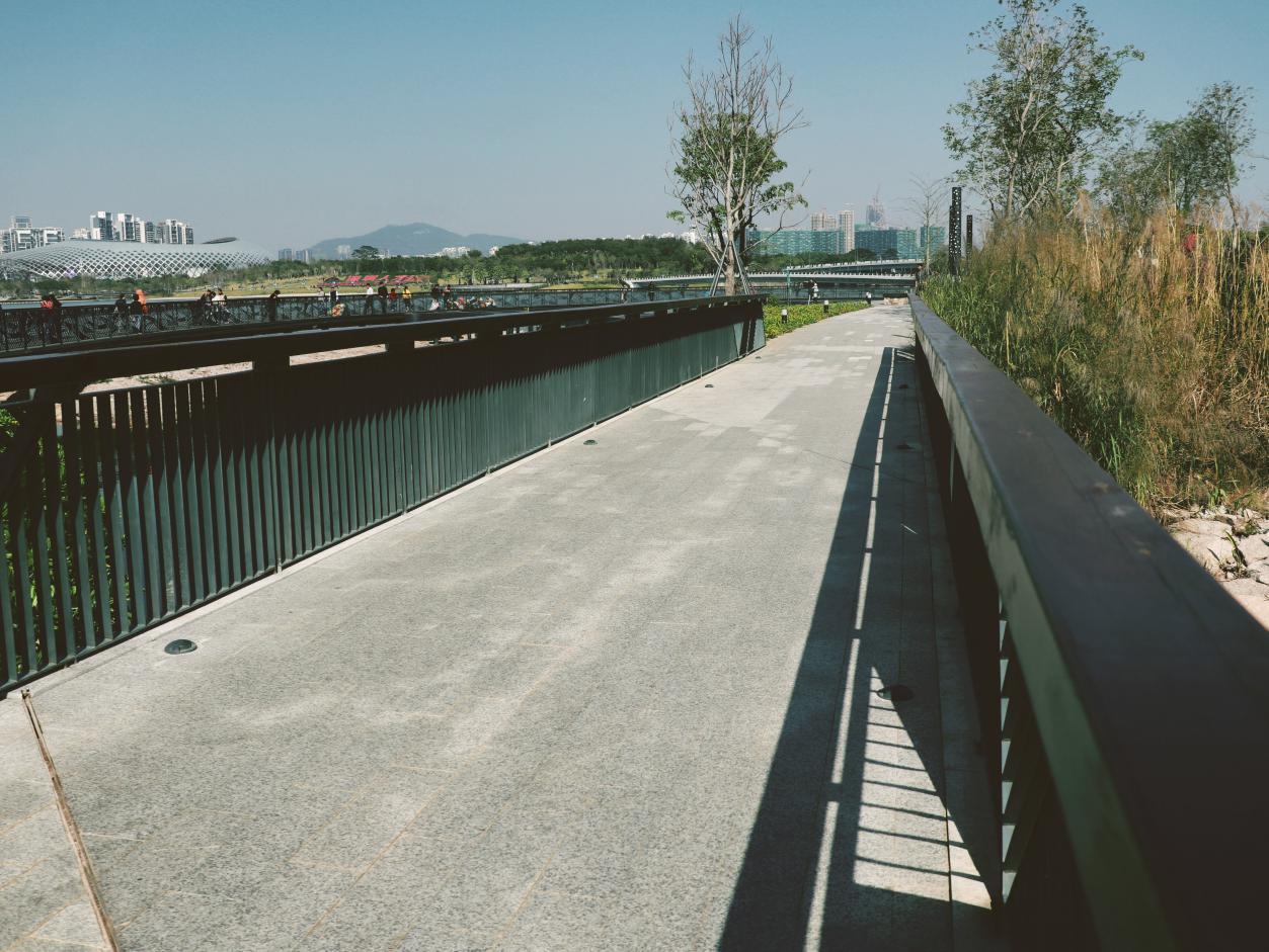 佳能eosm6原装镜头拍摄效果好吗,佳能eosm6数码相机