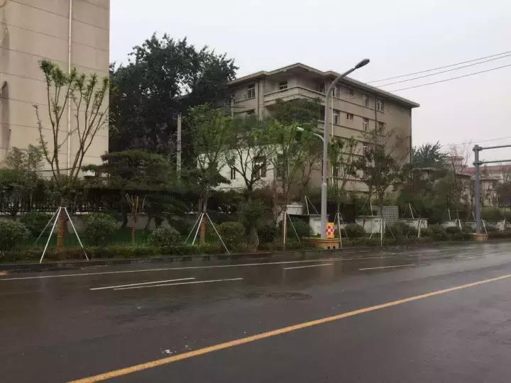 济南80后回忆,奋斗在济南的80后