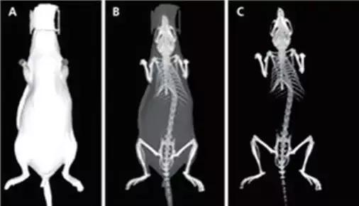 实验动物福利原则,科技对动物的好处