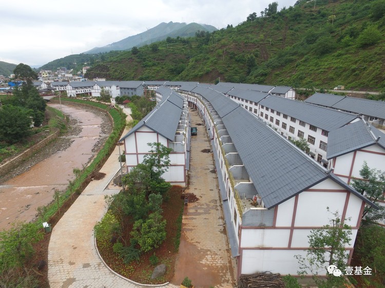 壹基金主要成就,壹基金的基本情况