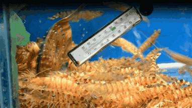 这家蒸汽海鲜真的很不错,蒸汽海鲜哪家最正宗