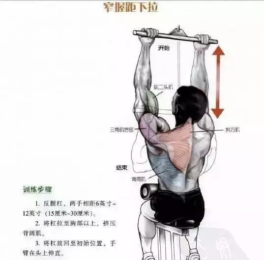 把背部肌肉全部练到的练背动作,最好的背肌训练动作