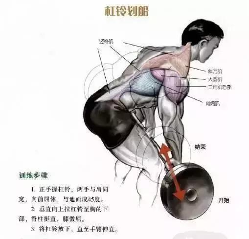 把背部肌肉全部练到的练背动作,最好的背肌训练动作