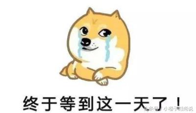 大牌的新年限定,奢侈品大牌的狗年设计