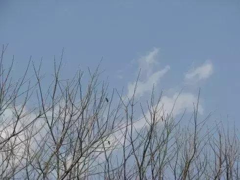 纳兰词最凄美的句子,纳兰性德凄美词