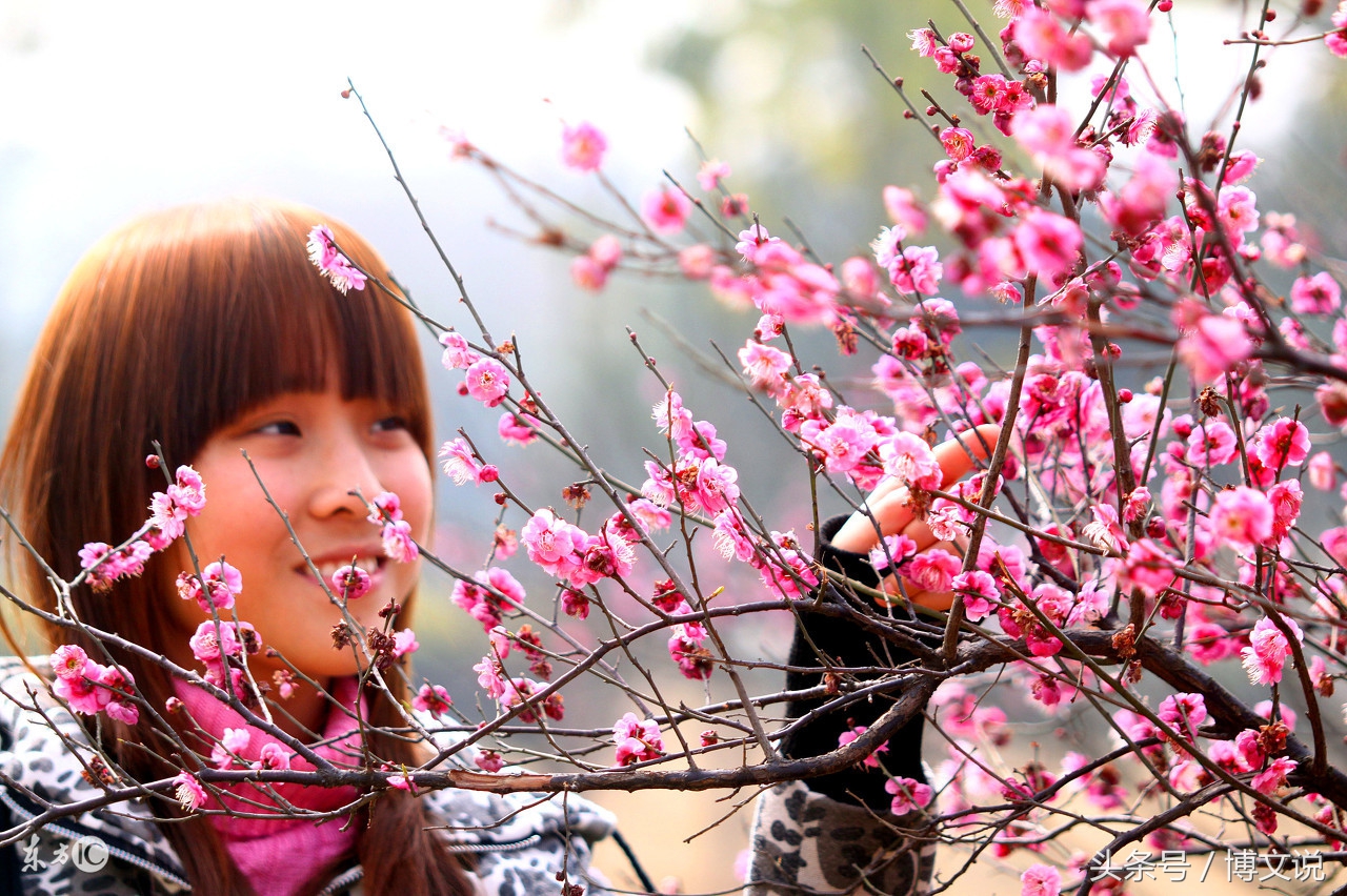 古诗人面桃花诗句,古诗人面桃花的诗句