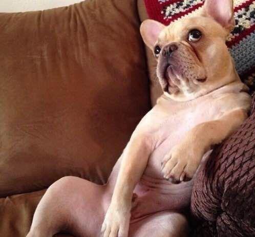 绉戝鍋ュ悍楂樻晥鍏荤墰鏂规硶,鍋ュ悍绉戝鍏荤墰