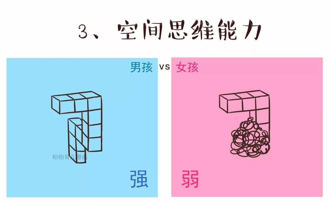 男女大脑构造差异图,从生物学角度揭秘大脑的9种性别