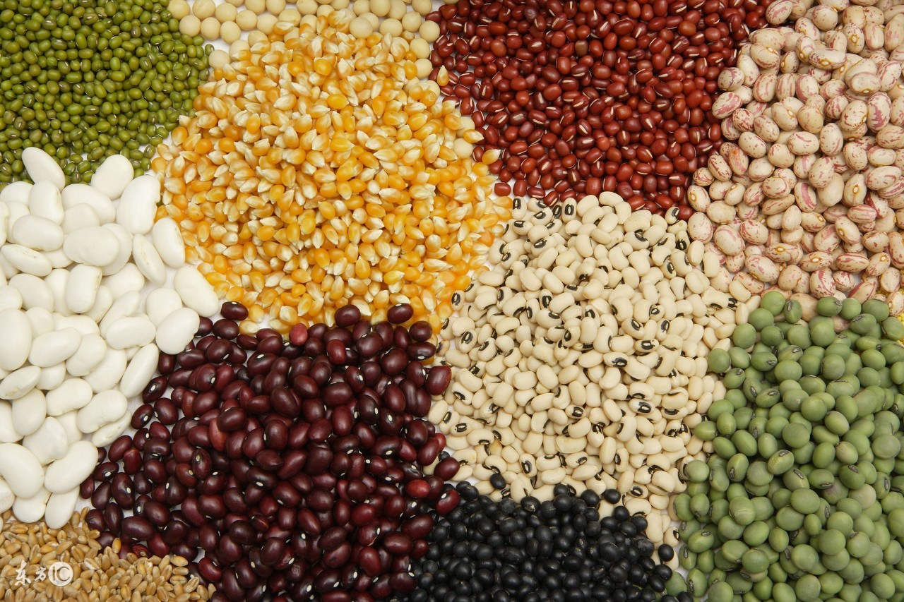 骨质疏松患者锻炼期的营养膳食,改善骨质疏松最好的营养搭配