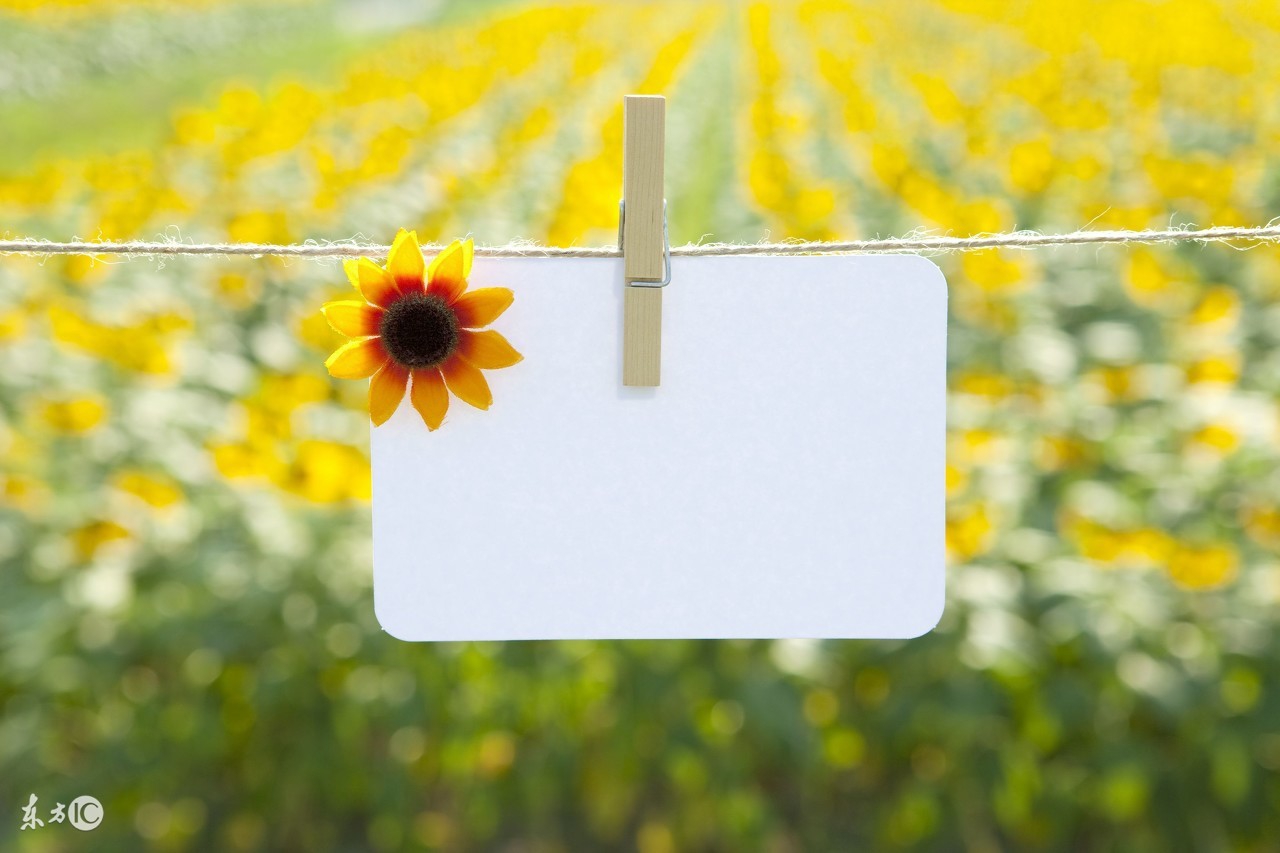 今日的面膜推荐,今日推荐水感肌面膜