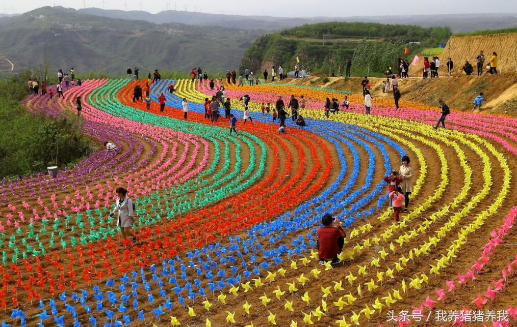 农业政府补贴项目申报流程,农业综合开发农业部项目申报指南