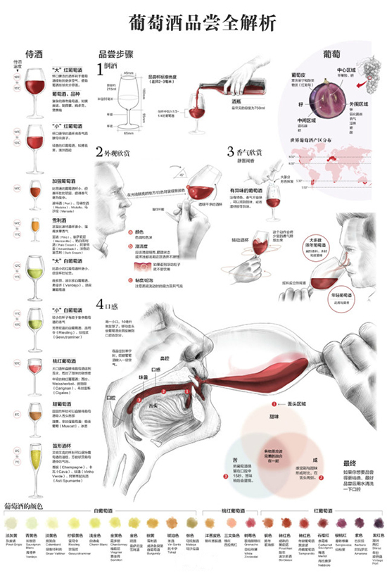 十张图教你成为葡萄酒专家,最完整详细的葡萄酒知识大全