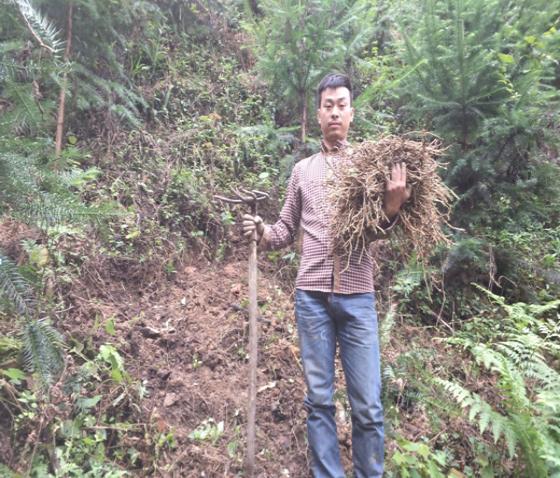 「苗侗祖源绿色榕江」深山创业夫妇:为梦想的火苗添把柴