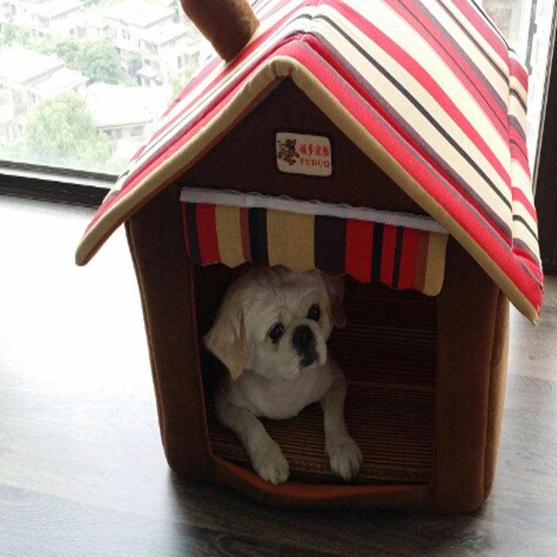 狗狗喜欢怎么样玩,狗狗喜欢什么样的环境