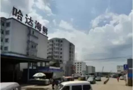 哈尔滨买年货必去的地方,哈尔滨批发市场做什么生意好