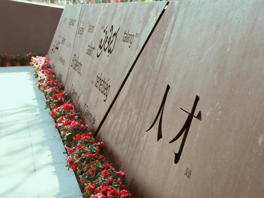 佳能eosm6原装镜头拍摄效果好吗,佳能eosm6数码相机