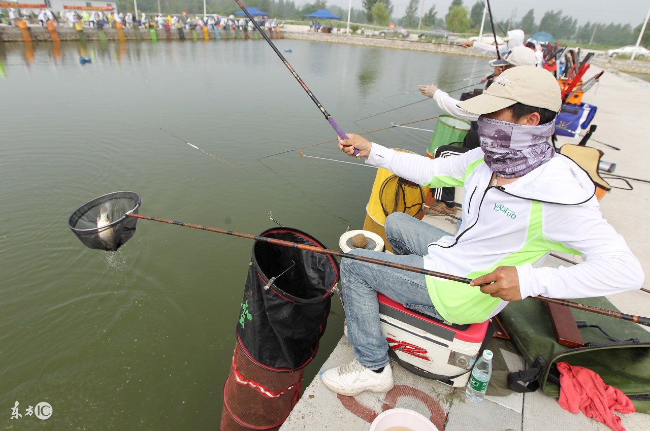黑坑钓上来的鱼老板怎么处理,黑坑钓青鱼怎么破解老板的招数