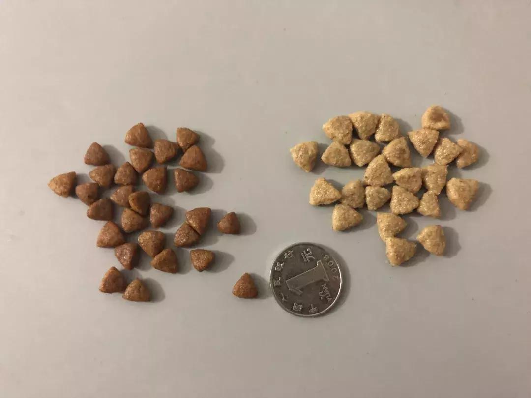 狗粮冠能品牌,狗粮品牌推荐冠能