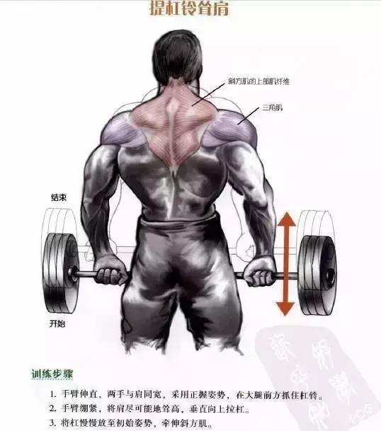 把背部肌肉全部练到的练背动作,最好的背肌训练动作