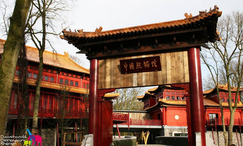 外国人有多喜欢熊猫科普视频,外国人看中国对大熊猫的关心