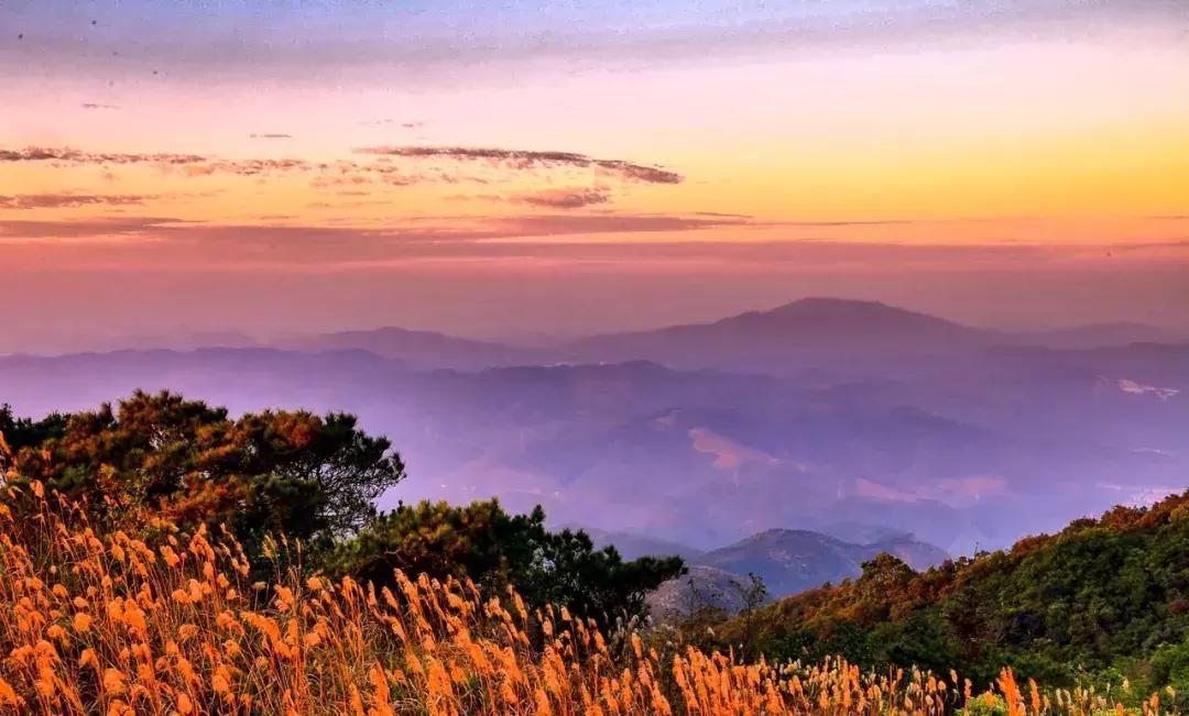 新发现！肇庆又一免费新地标要火！高清大片来了！