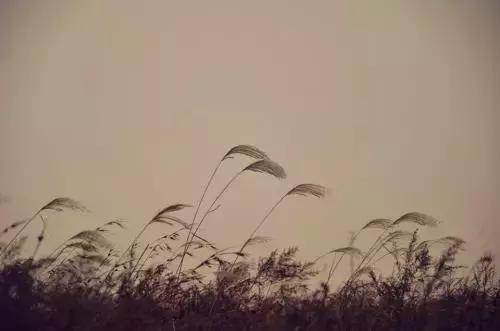 纳兰词最凄美的句子,纳兰性德凄美词