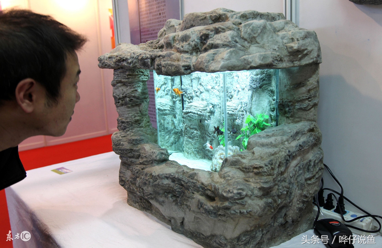 新手养鱼小缸用什么过滤最实惠,小鱼缸没有过滤器适合养什么