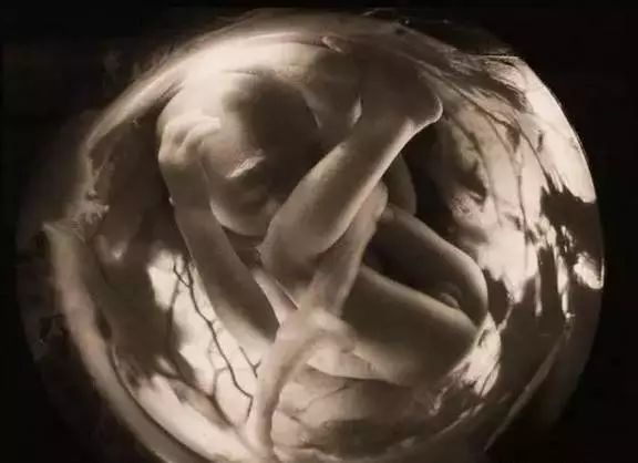 月安馨小课堂“羊水”为什么叫羊水呢?