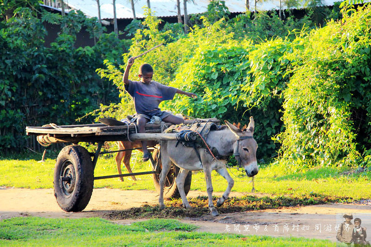 这个市场有意思：理发8元，上网一小时35元，卖花生米用瓶盖
