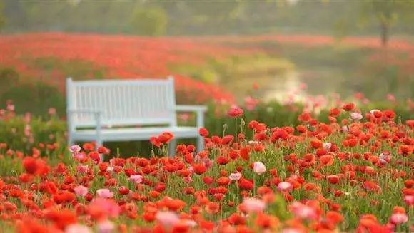 上海最省钱旅游攻略,旅游省钱从上海出发