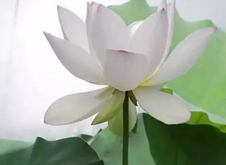 和同事误会了怎么办,跟同事有误会需要化解吗