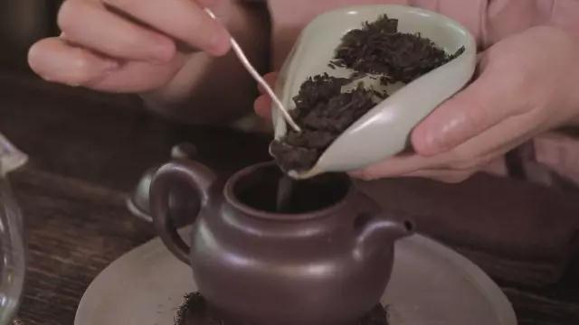 推荐好的熟普口粮茶有哪些,沱茶是生普还是熟普