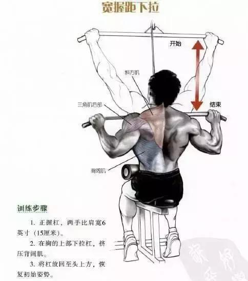 把背部肌肉全部练到的练背动作,最好的背肌训练动作