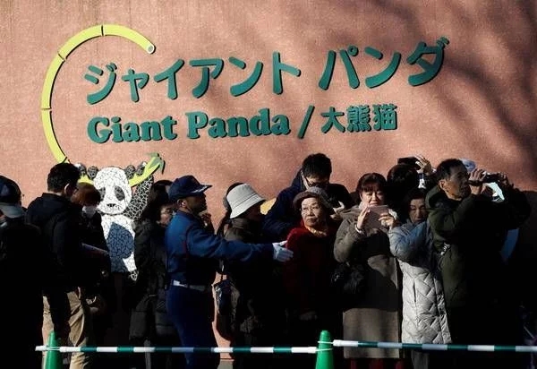 外国人有多喜欢熊猫科普视频,外国人看中国对大熊猫的关心