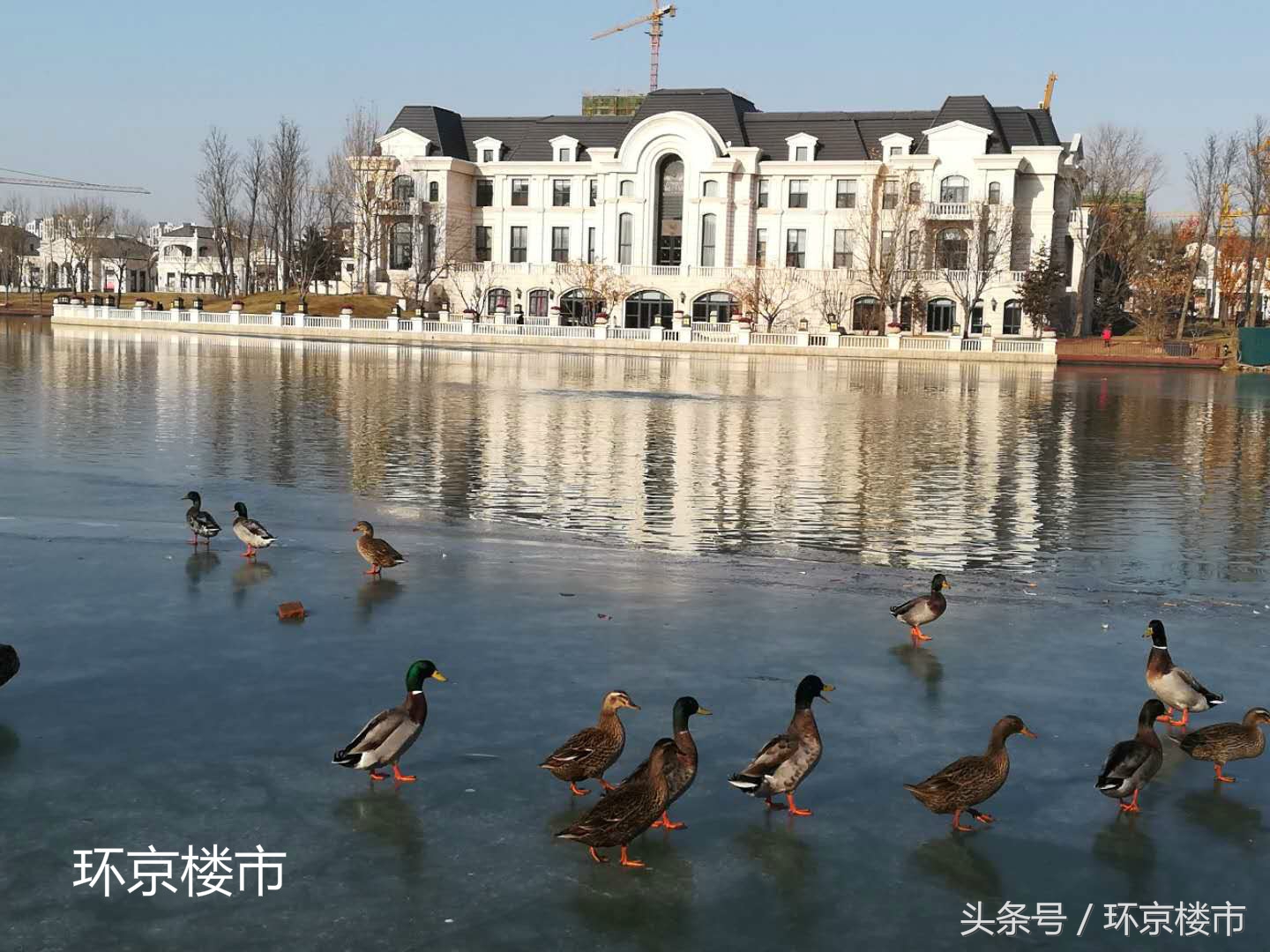 京南明珠美丽固安,京南明珠华北名校