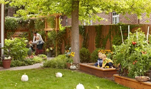 美国一家五口野外生存建房子,美国一家五口野外建房子