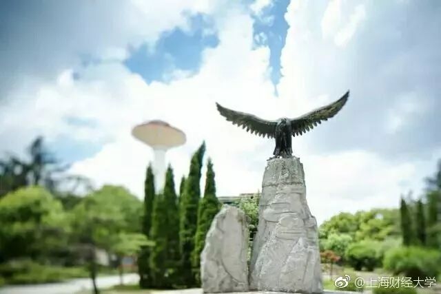 上财五年就业薪酬,上财金融硕士生目前就业怎样