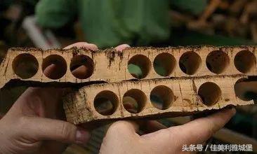 橡木塞小技巧,橡木塞的秘密