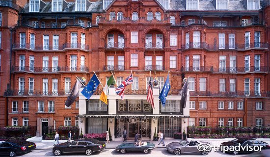 饭圈追星必备,各大明星必打卡酒店套房