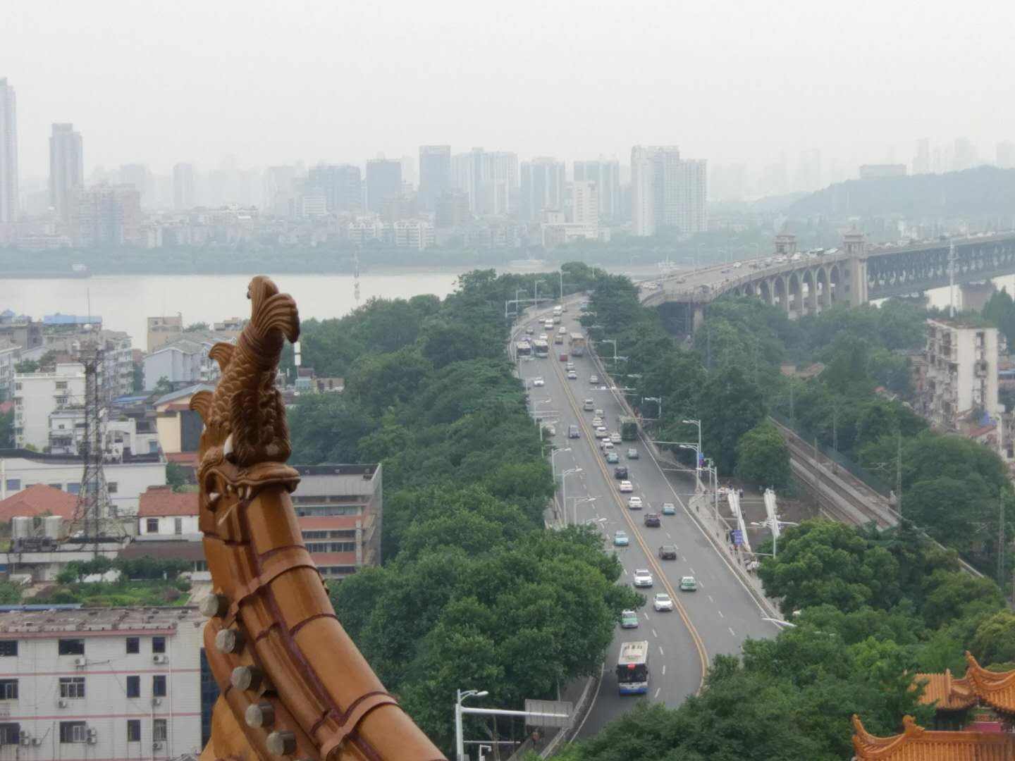 大中华酒楼户部巷武昌鱼,大中华酒楼武昌鱼是中华老字号吗