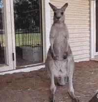 2022年退税的相关政策,海淘退税最新政策